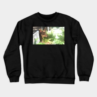 Charlie Button Crewneck Sweatshirt